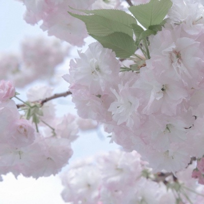 Furry插画故事感灵感兽圈群